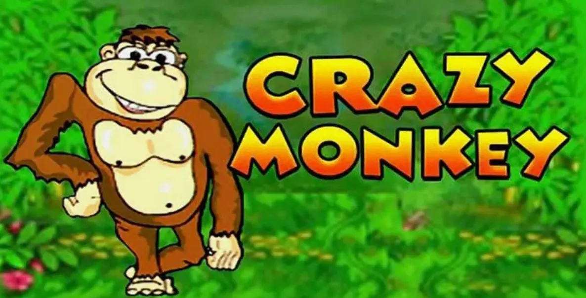 Crazy Monkey - Slot Review