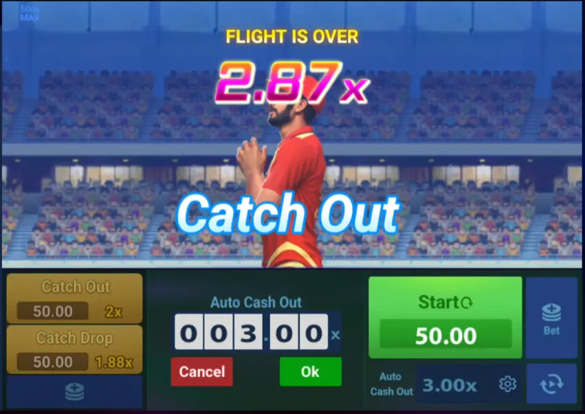 Crash Cricket Catch Out